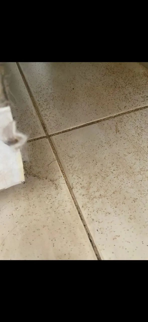 DOAÇÃO CAMA BOX CASAL - SEM COLCHÃO  - Foto 3