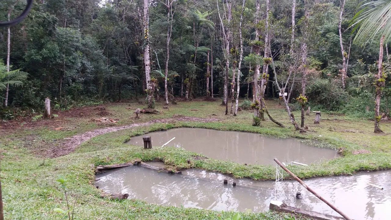 Alugo chacara(rancho)na cidade de tapirai - Foto 5