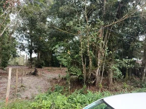 Lote/Terreno à Venda, Coronel - Itanhaém - Foto 2