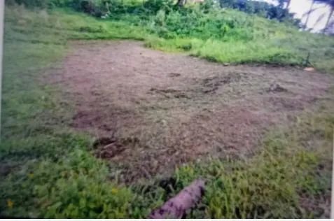 Terreno barato em Paripe - Foto 3
