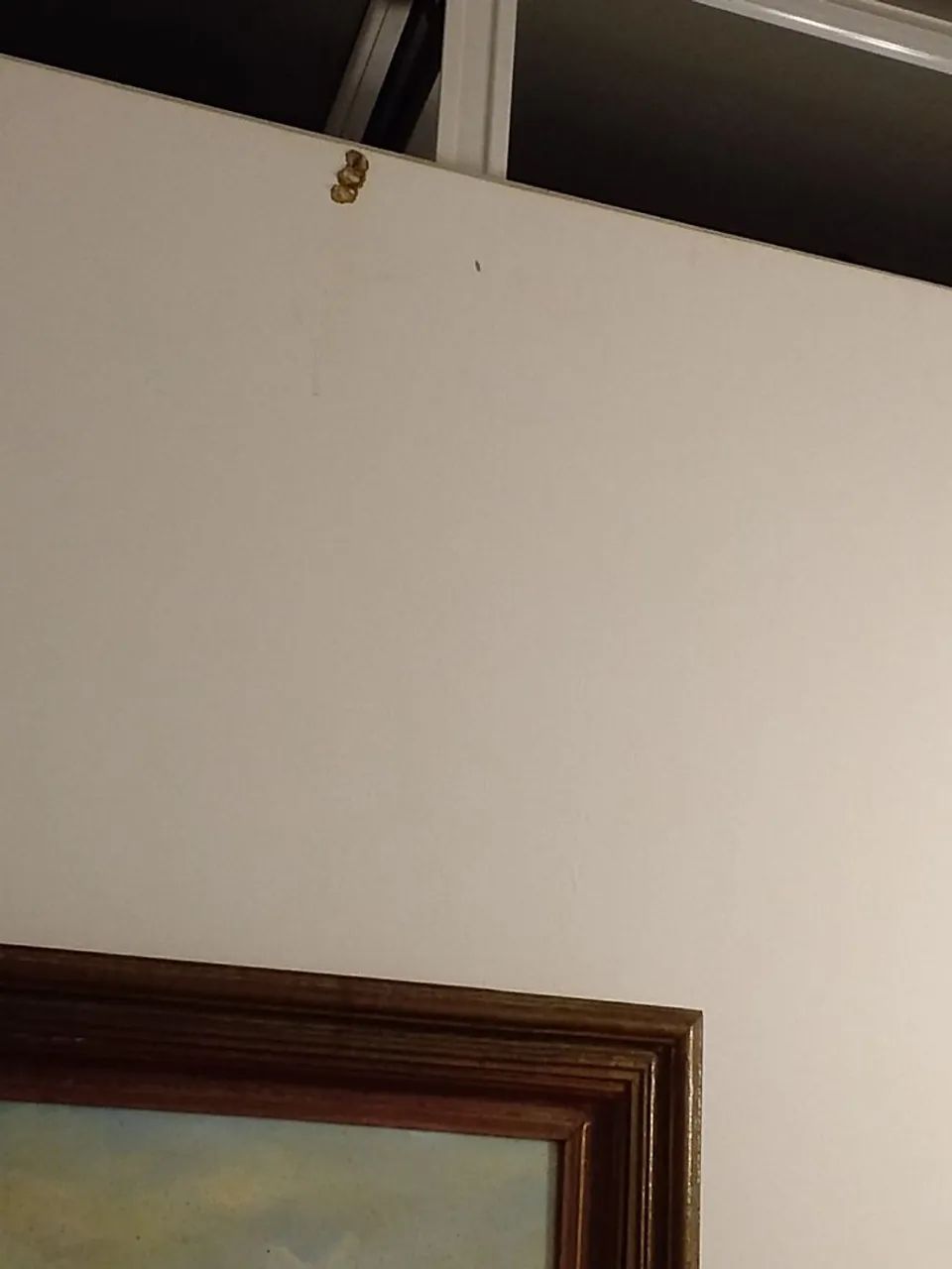 Pintura Residencial | Impermeabilização | Reforma de Reboco e Forro - Foto 2