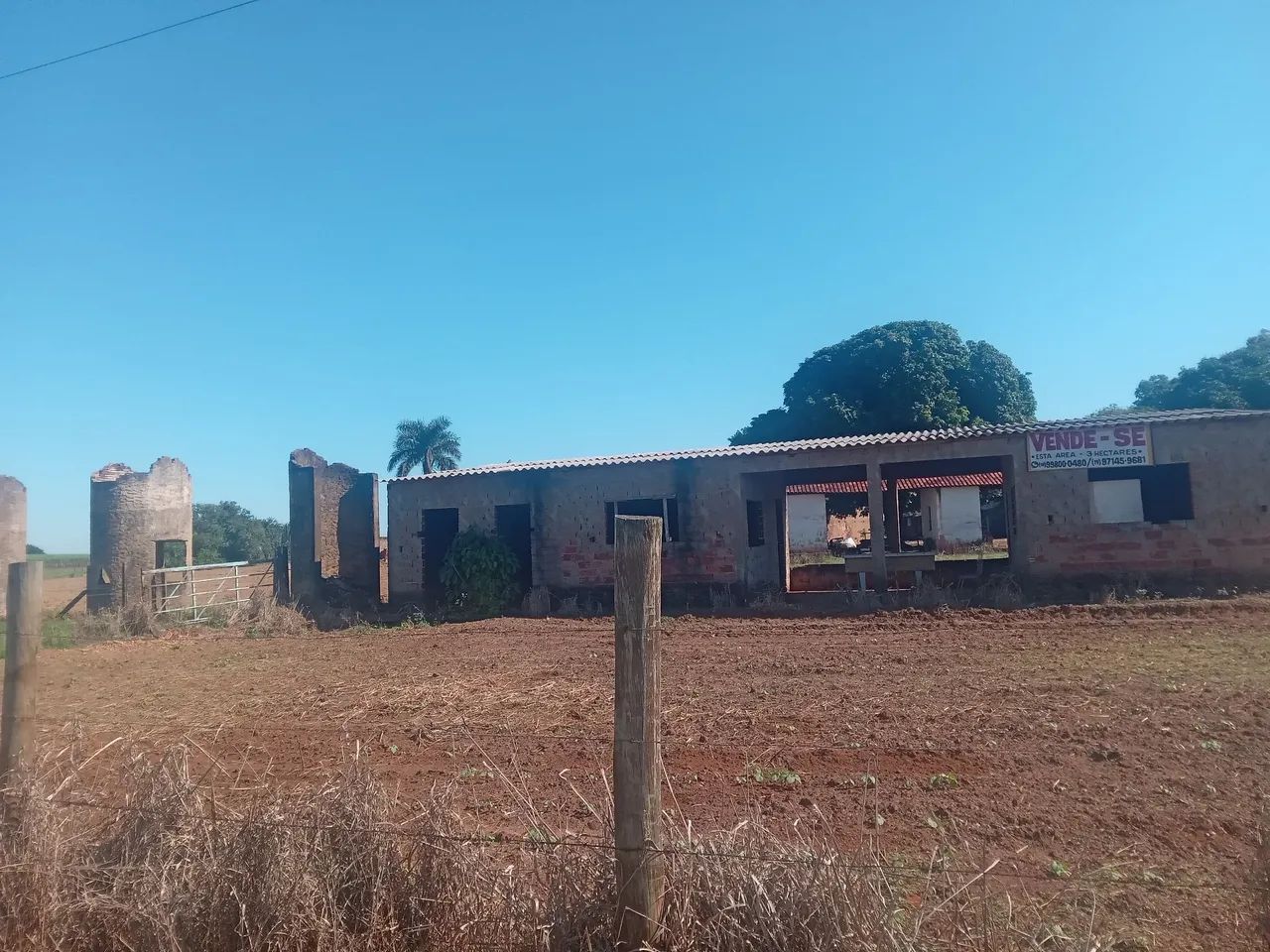 Sítio 3 hectares - Foto 3