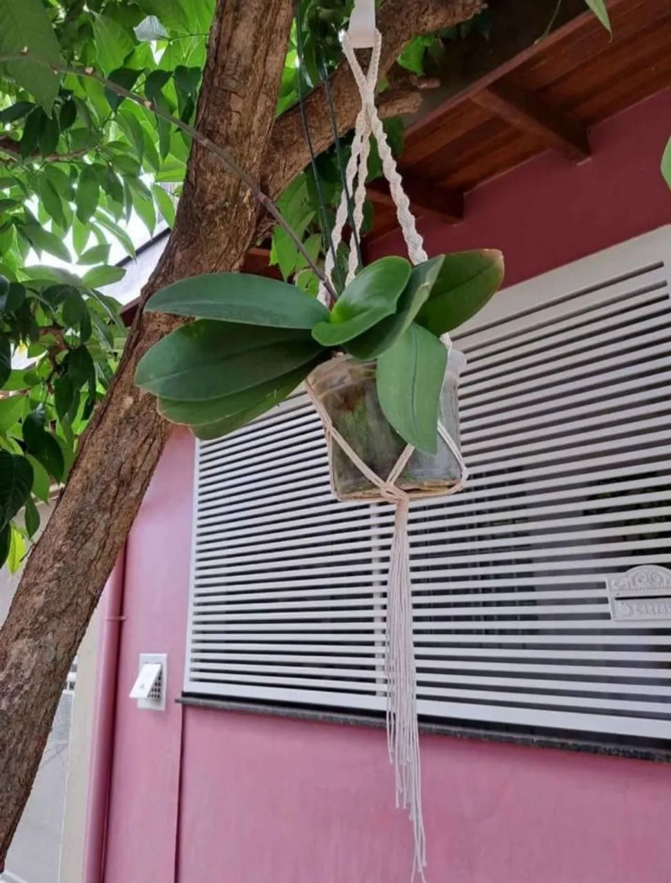 Suporte para vasos em Macramê  - Foto 3