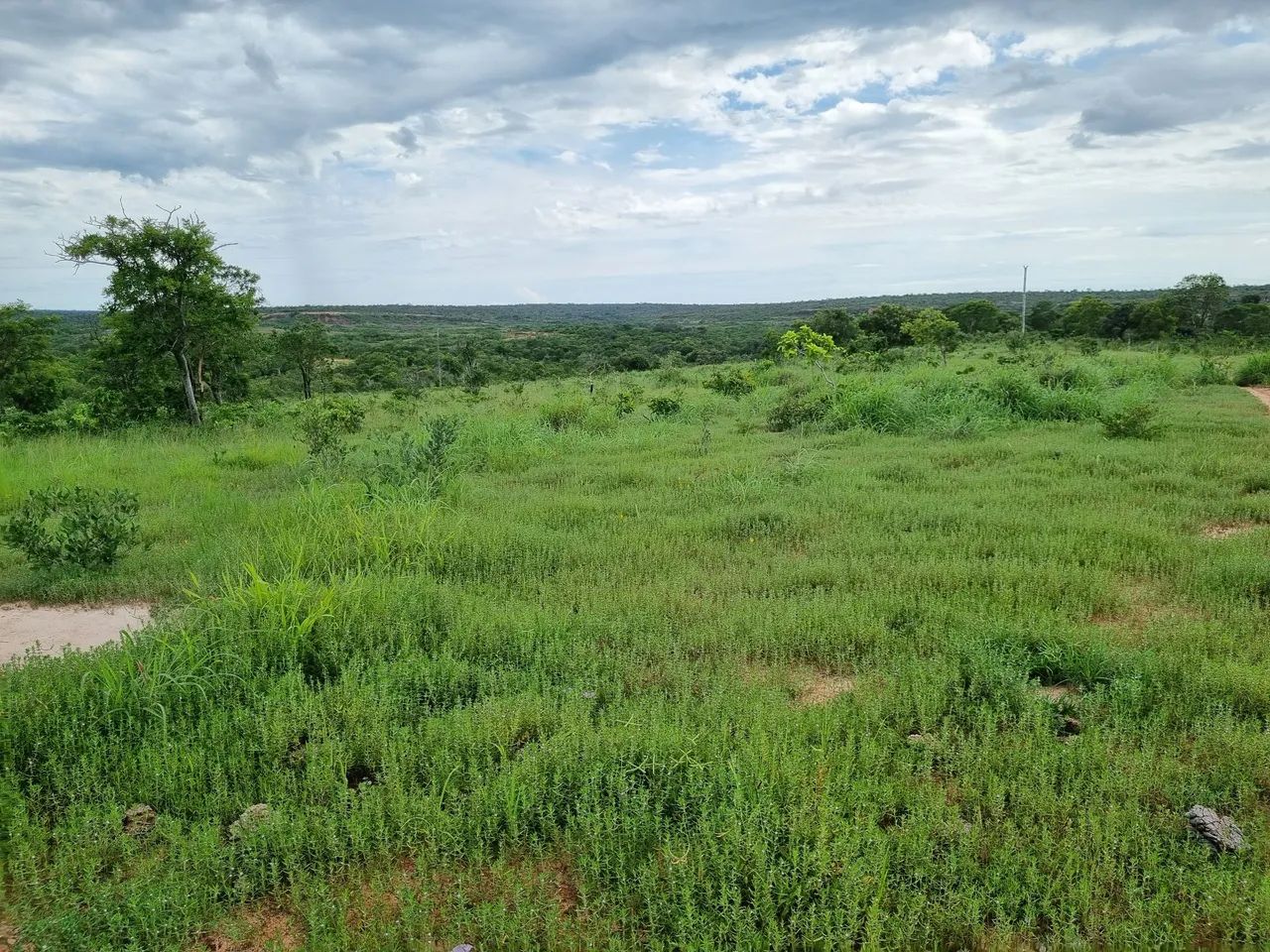 Fazenda barata em Urucuia MG  - Foto 2
