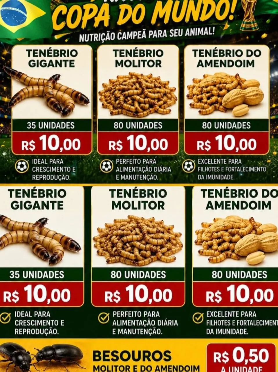 Maceio tenebrio vivos  - Foto 2