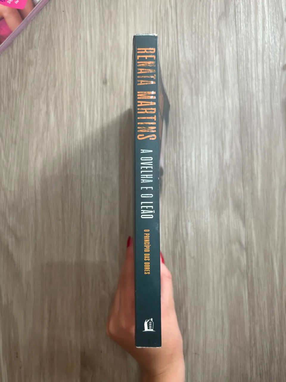Livro A Ovelha e o Leão - Foto 2