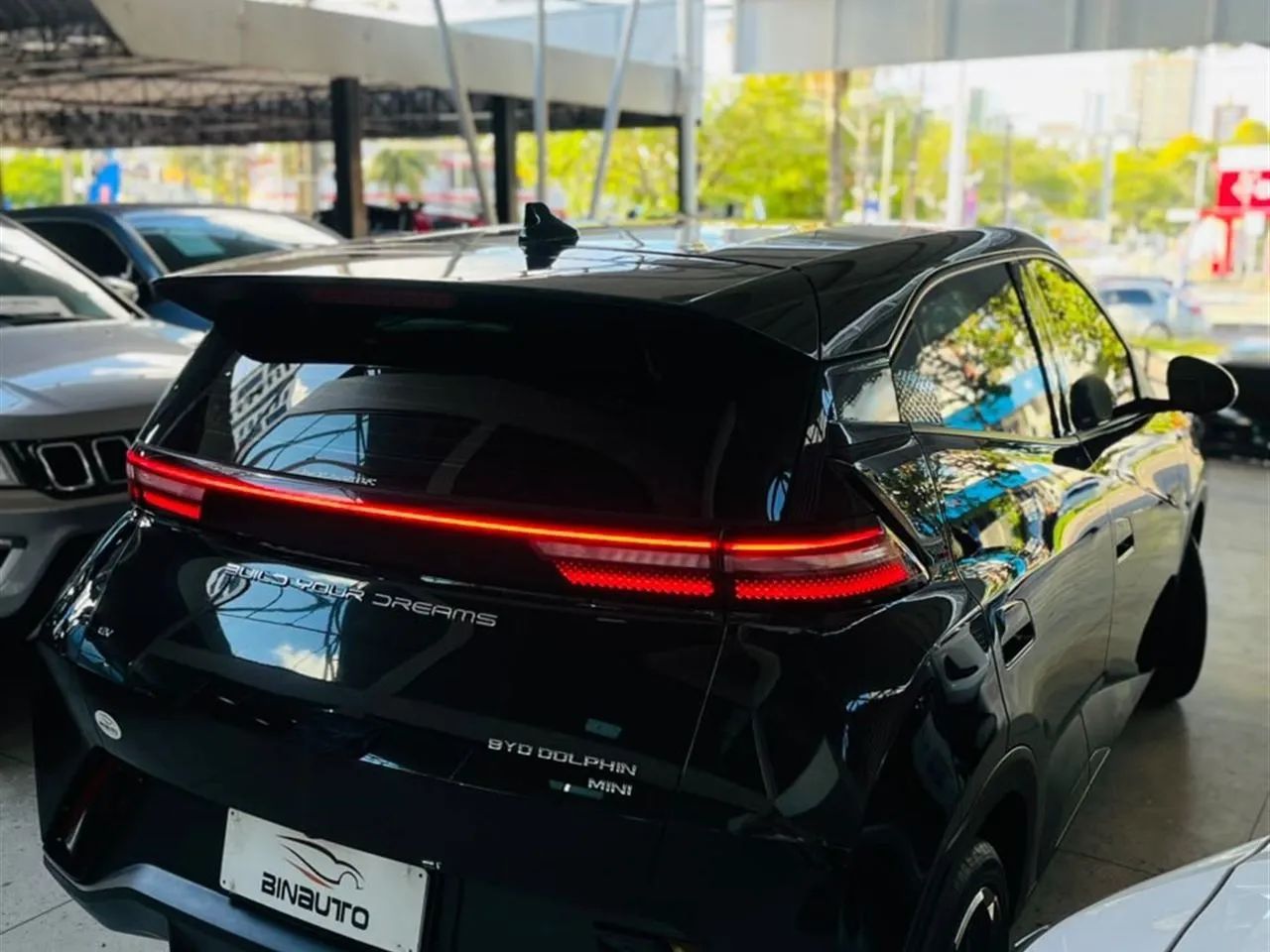 BYD Dolphin Mini (Elétrico) 2025 - Foto 2