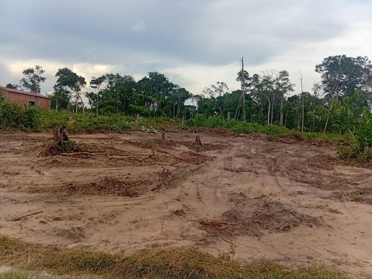 Foto - Manaus - Gilberto Mestrinho