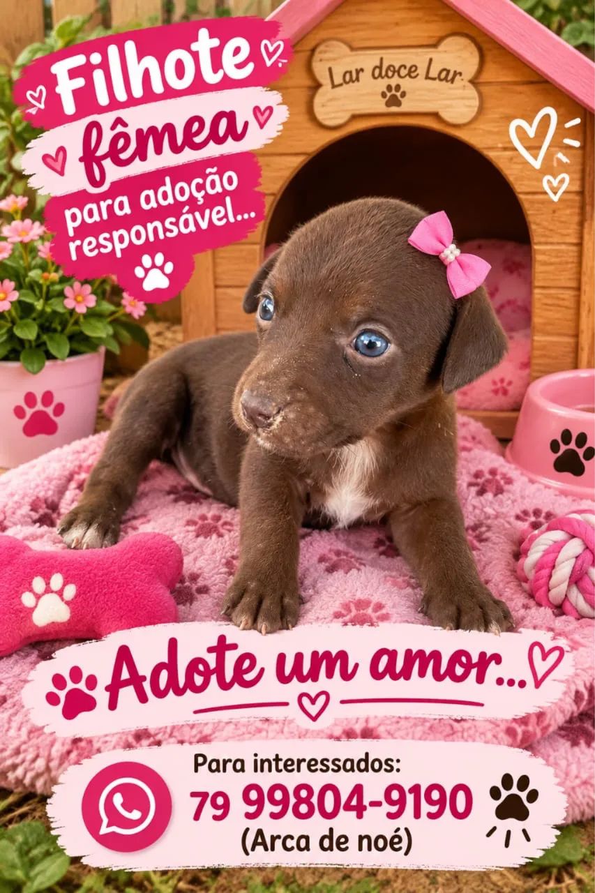 Adoção ? - Foto 3