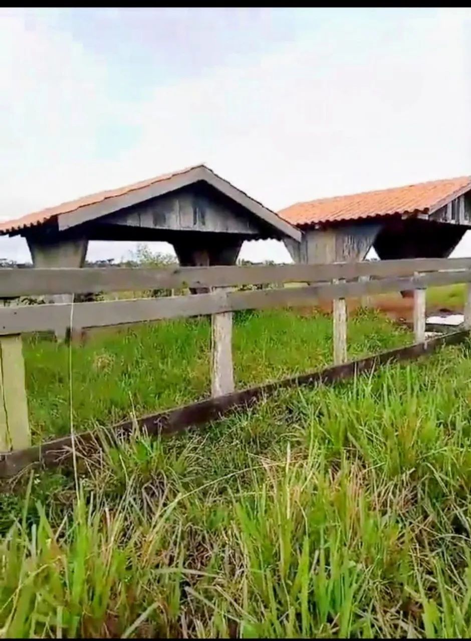 OPORTUNIDADE DE INVESTIMENTO NA BR-230 AMAZONAS - Foto 4