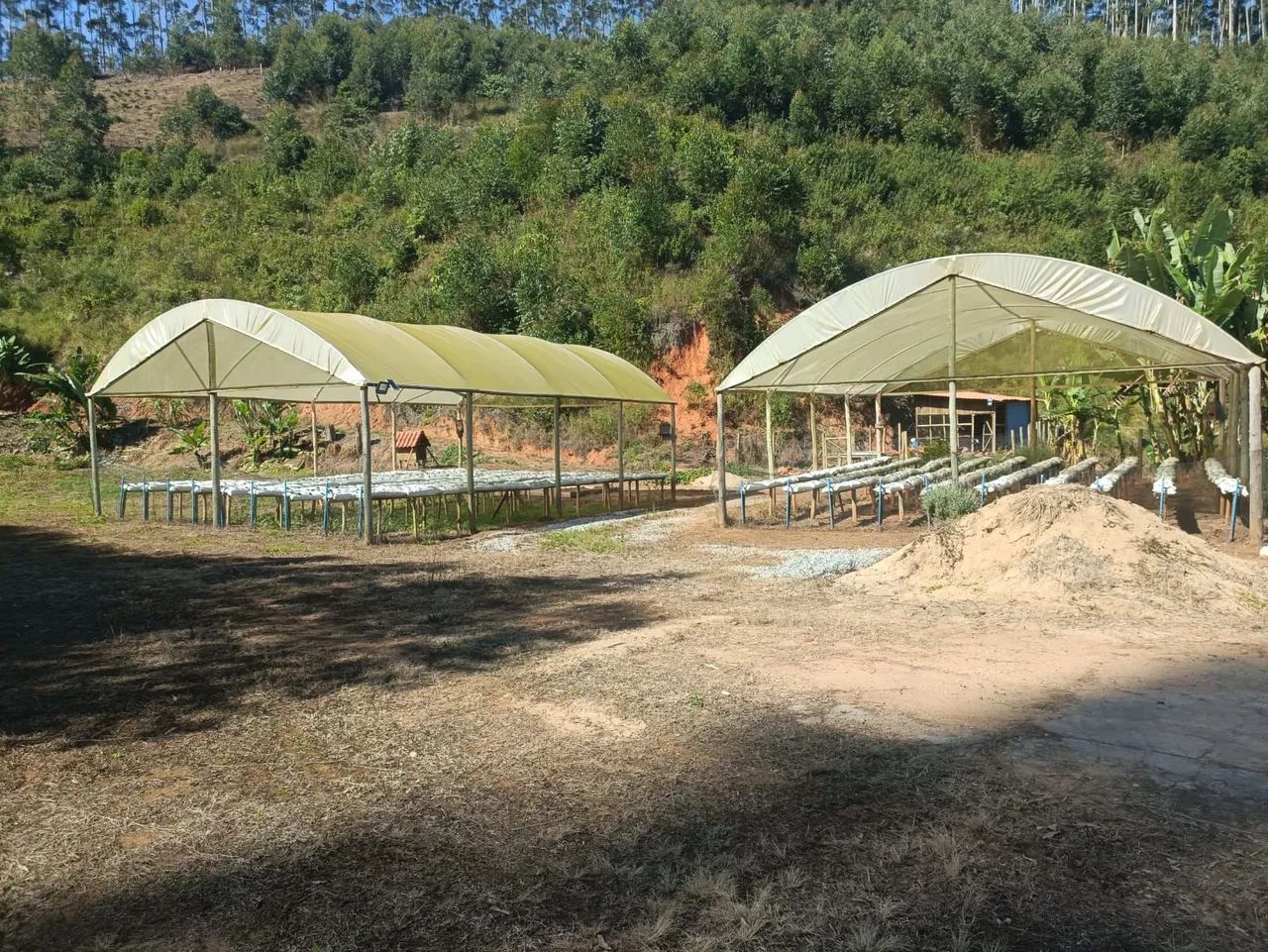 LINDO SITIO COM 6,19 ALQUEIRES EM CONCEIÇÃO DO CASTELO ES. - Foto 3