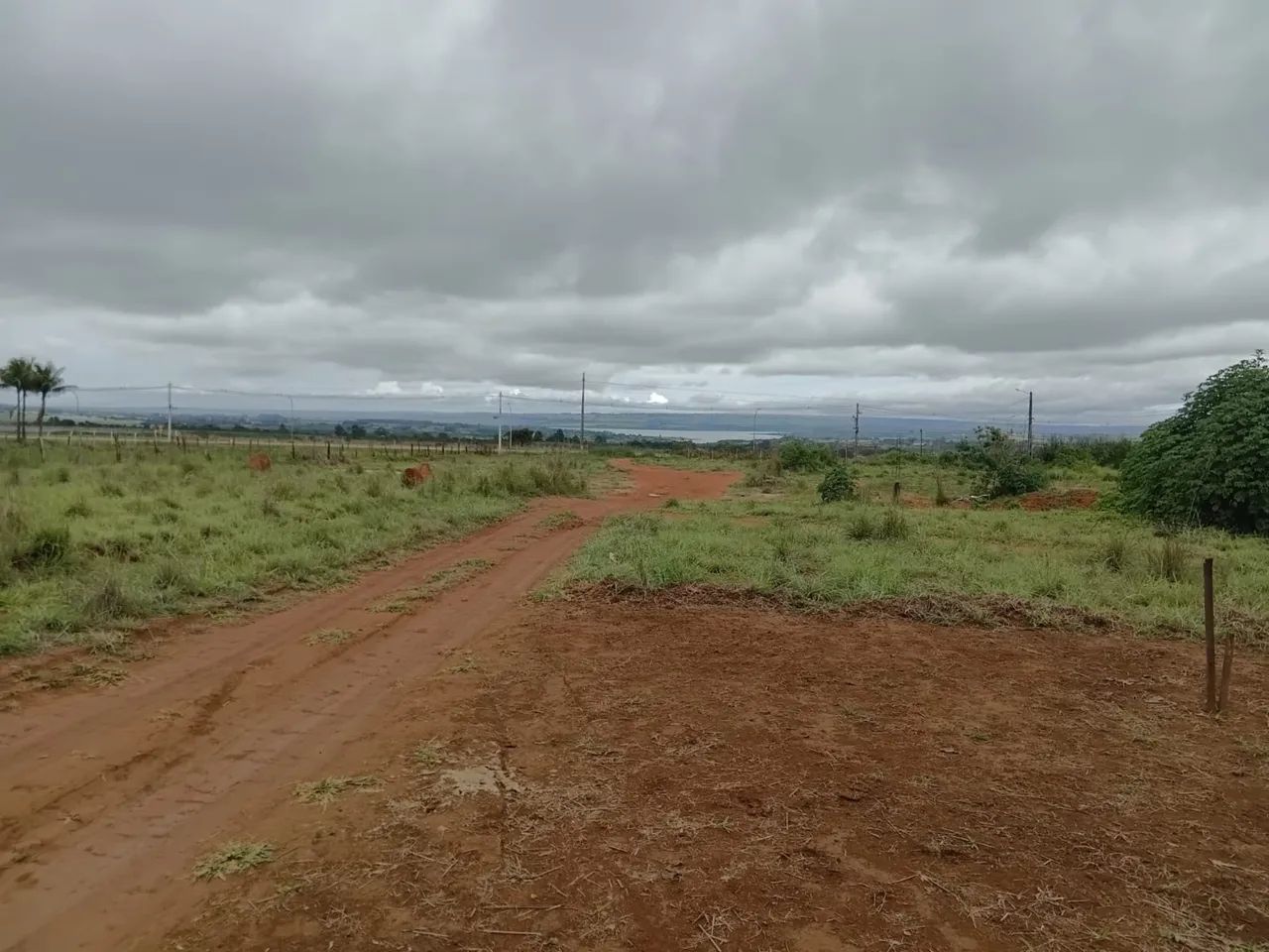 Foto - Brasília - Brazlândia