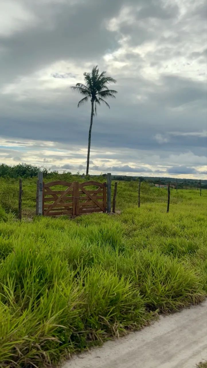 VENDO PROPRIEDADE RURAL - ESPERANÇA PB - Foto 3