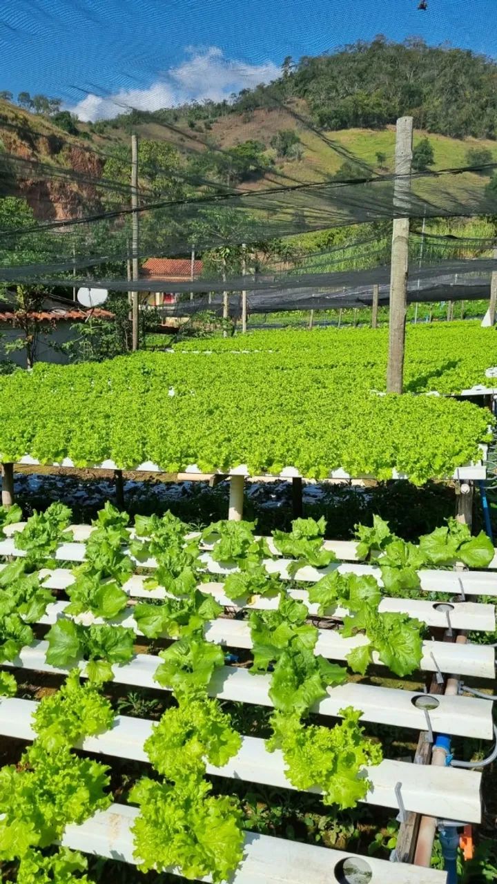 Perfis de Hidroponia Hidrogood | 800m² + Berçário | Oportunidade - Foto 6