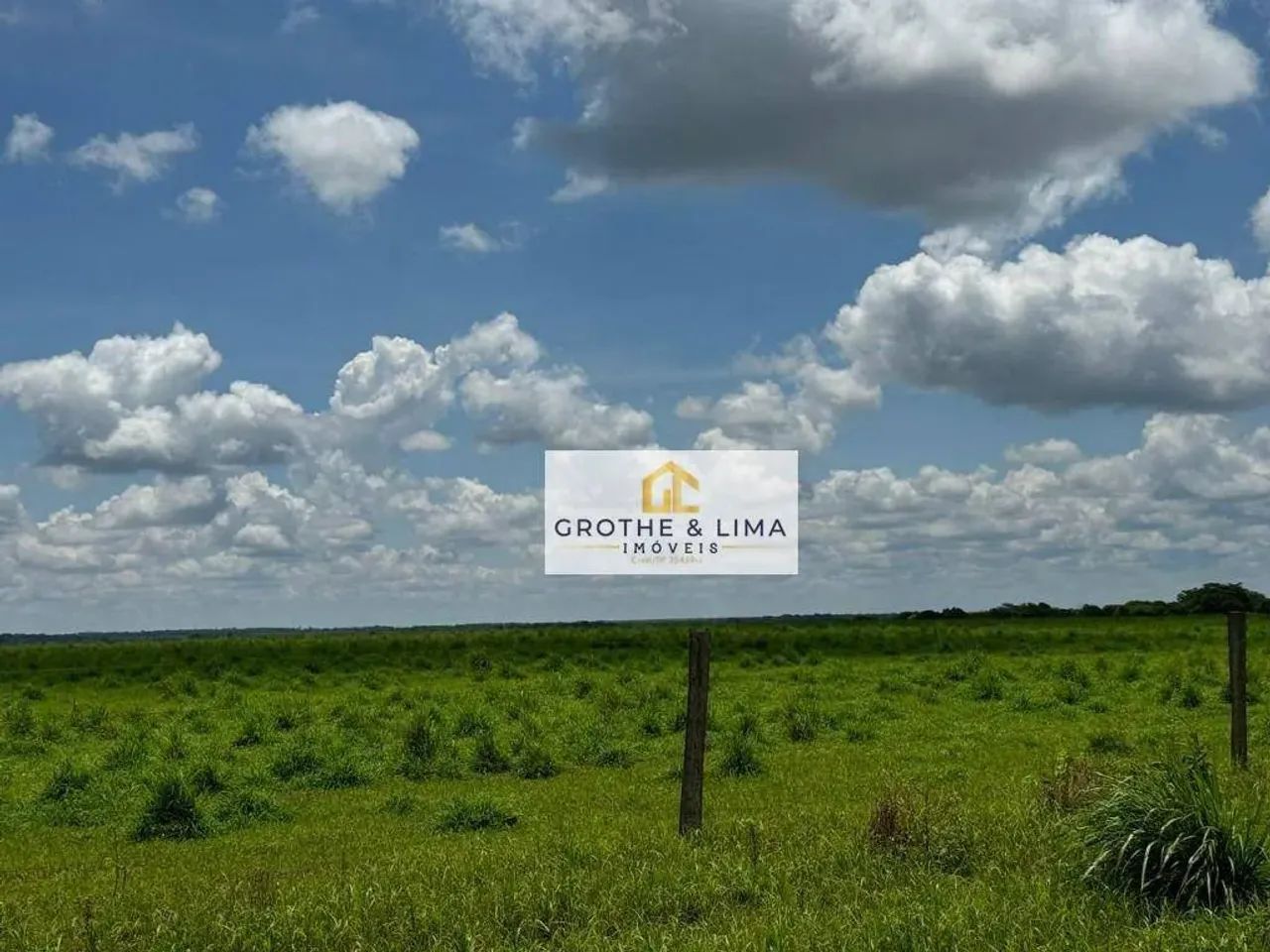 Fazenda à venda na Região de Nova Mutum/MT. - Foto 2
