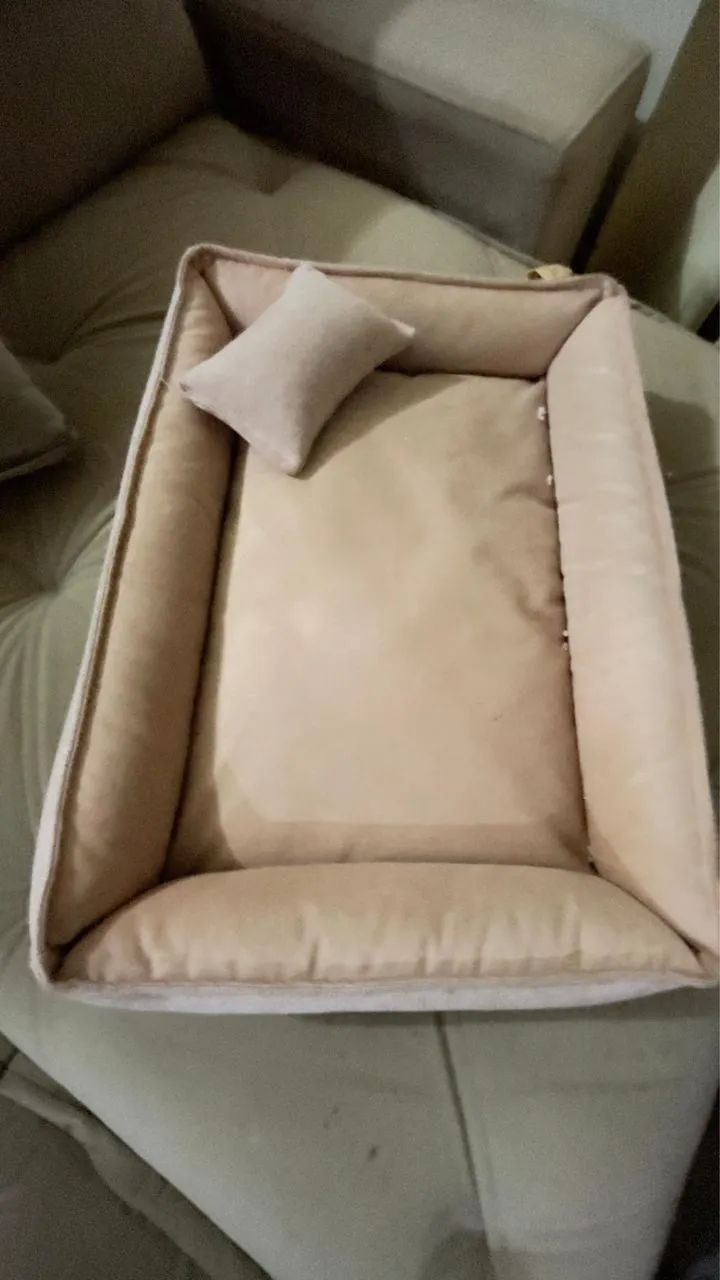 Caminha de cachorro
