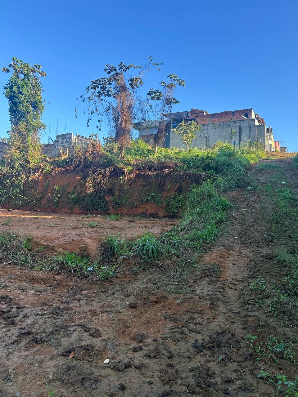 Terreno em Tranquedo Neves - Foto 2