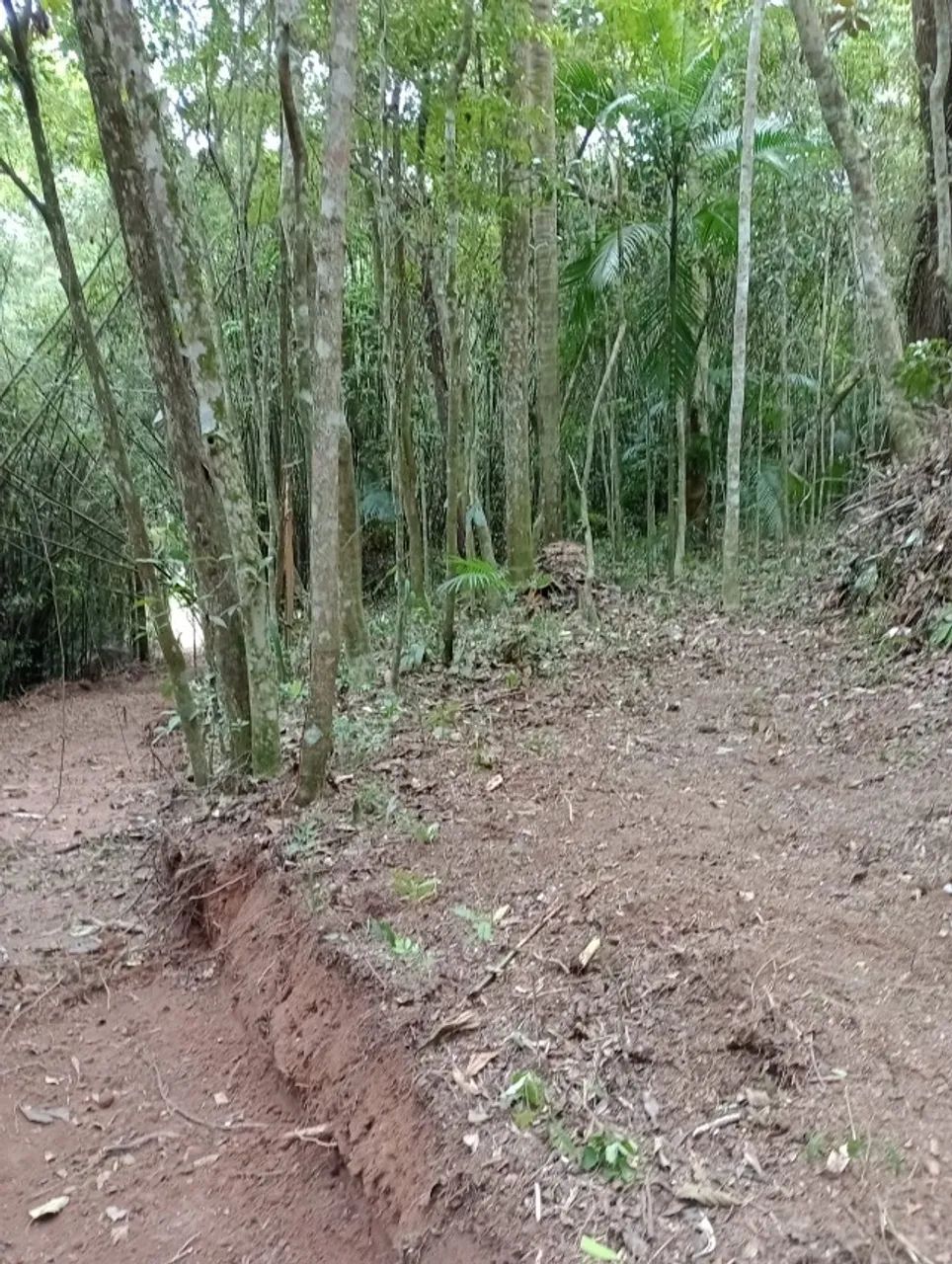 Foto - Itapecerica da Serra - Itaquaciara