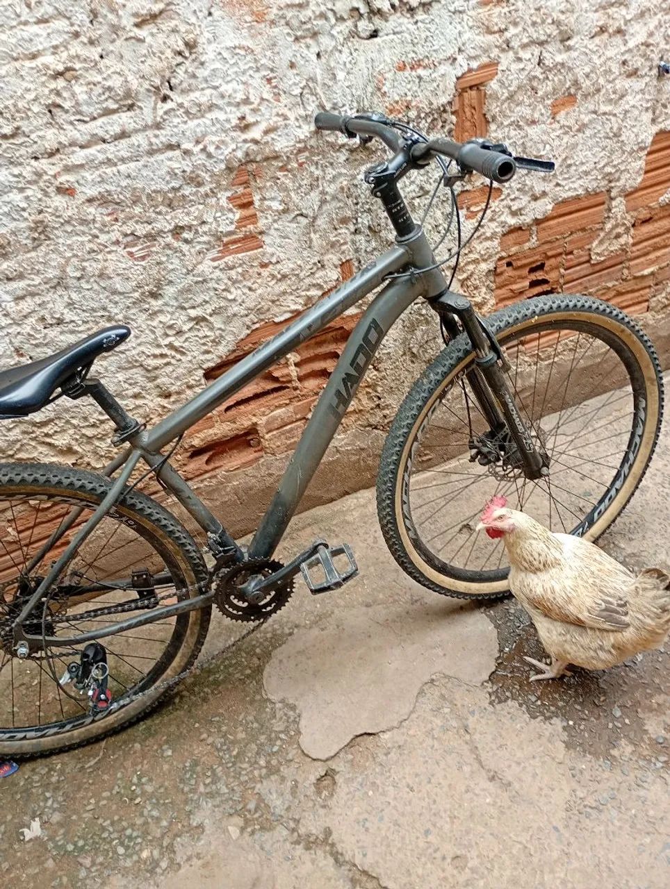 Bicicleta  - Foto 2