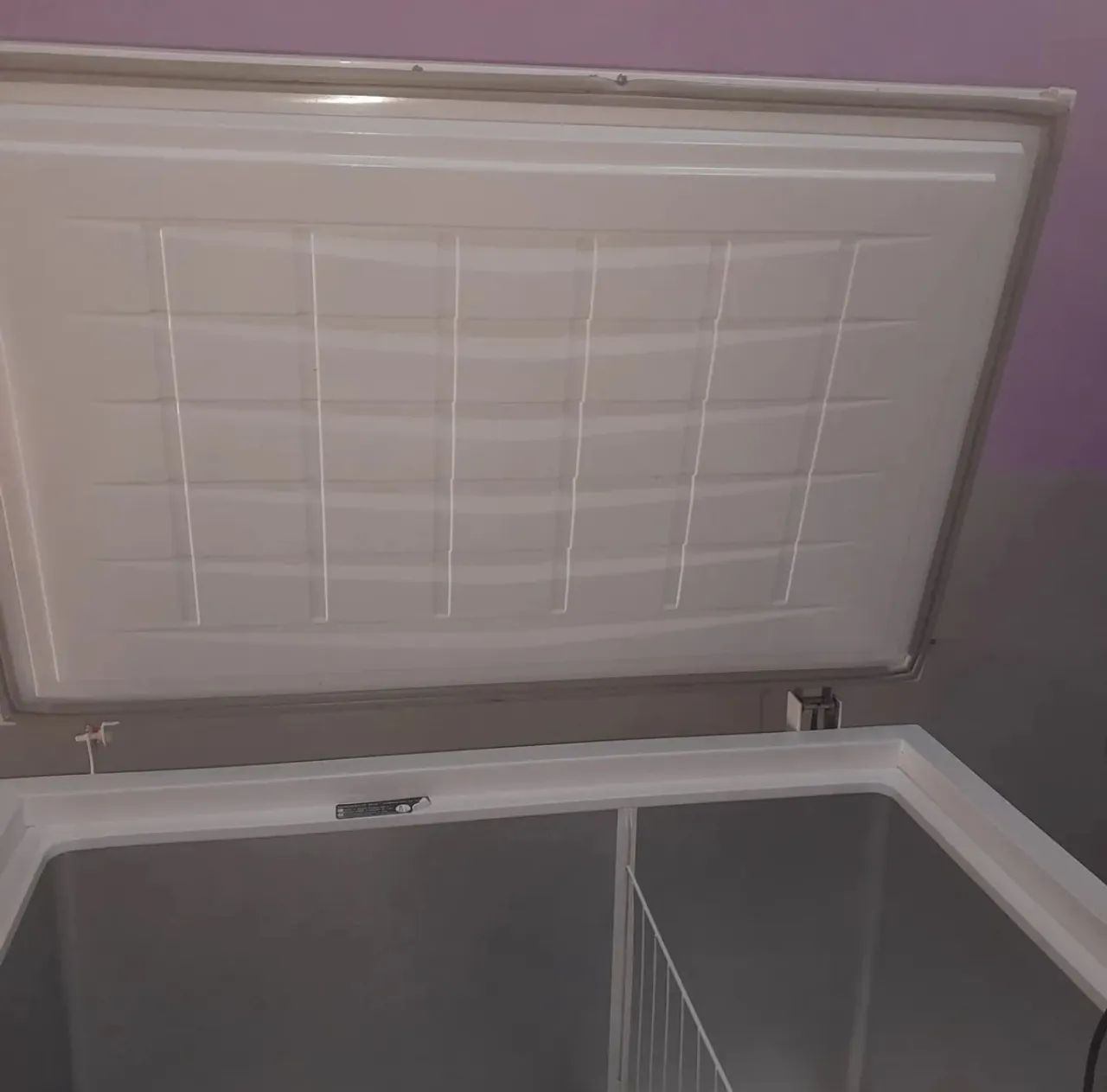 Freezer Horizontal Electrolux H330 - Foto 5