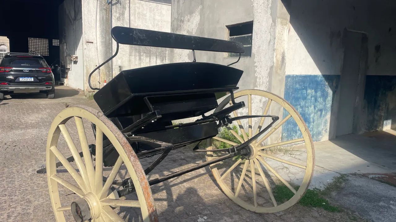 Charrete faéton aranha  - Foto 2