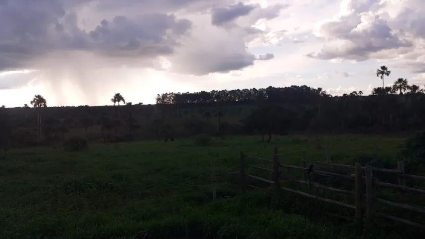 Chácara 20.000 M2 - Foto 4
