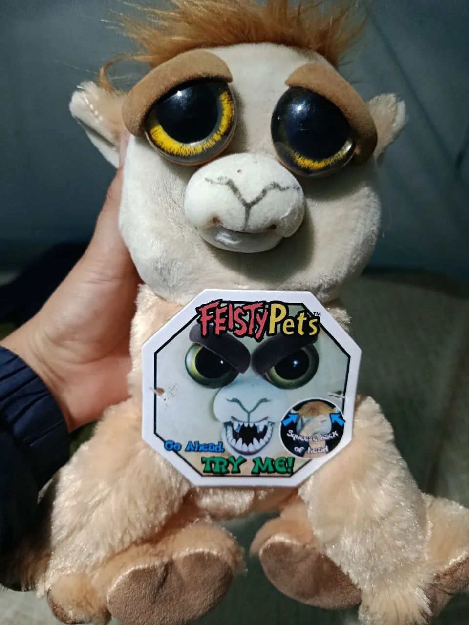 Ursos de pelúcia Br machine  - Foto 4