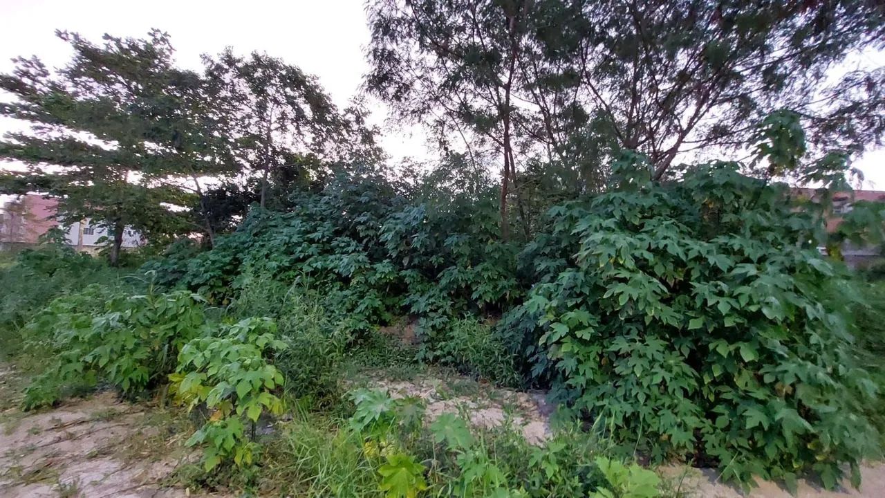Terreno em Rio das Ostras - Foto 2