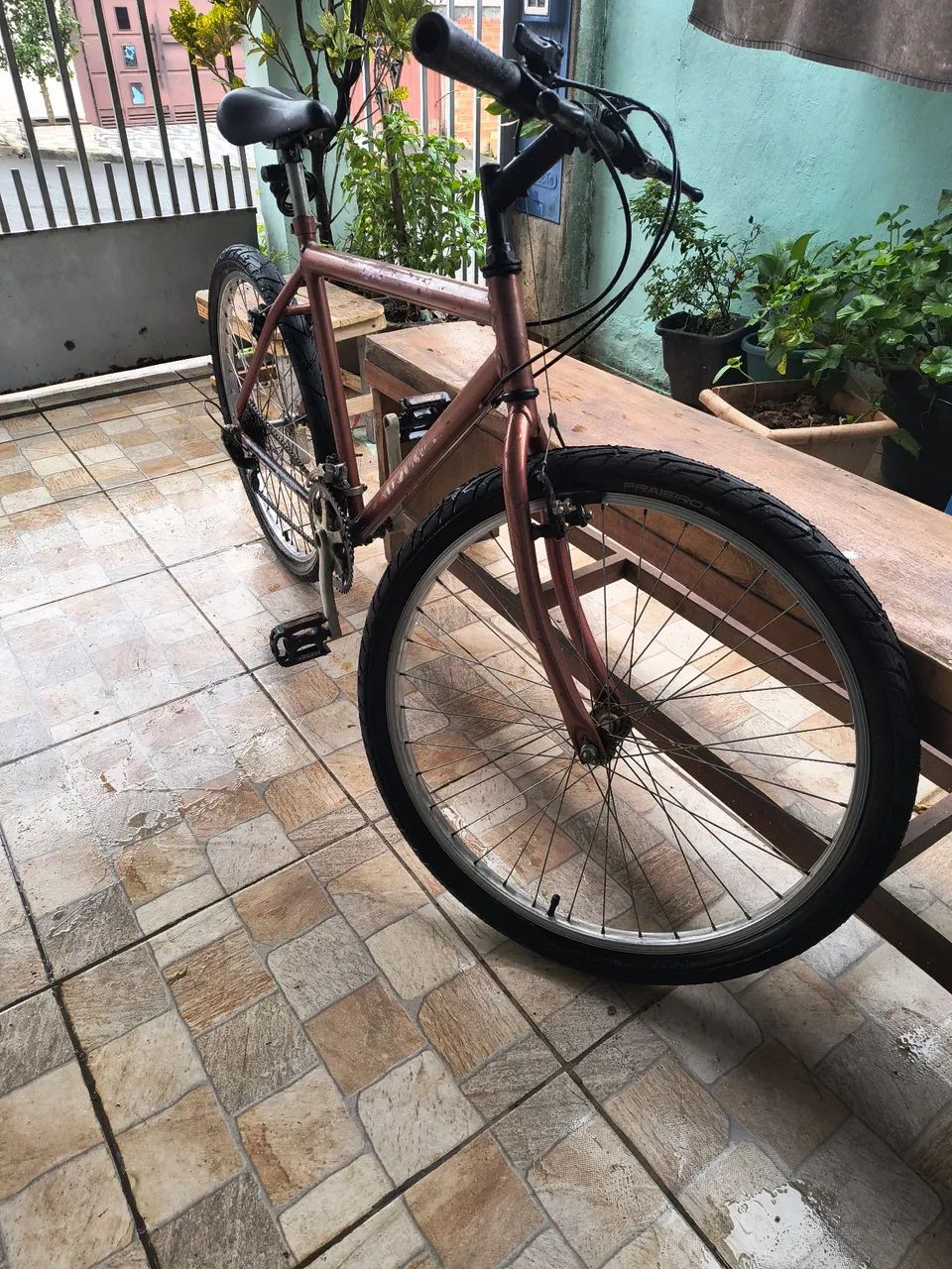 Bicicleta 