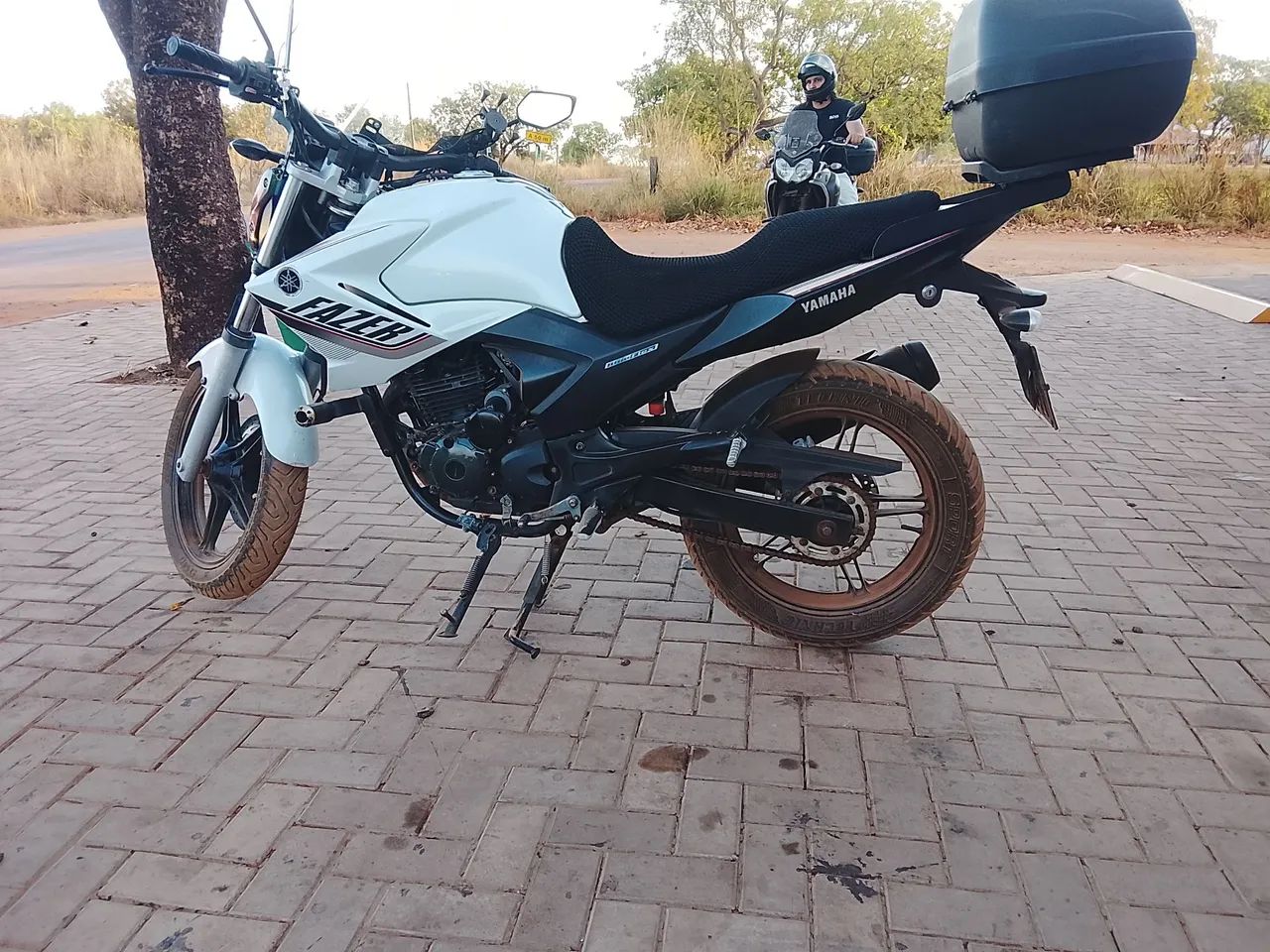 Fezer 250  - Foto 5