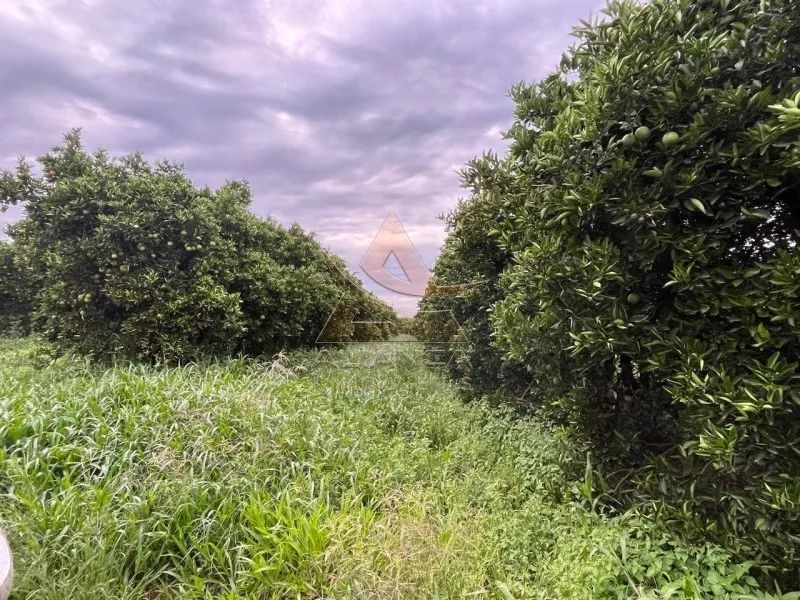 Fazenda - Angatuba - Zona Rural - Foto 2