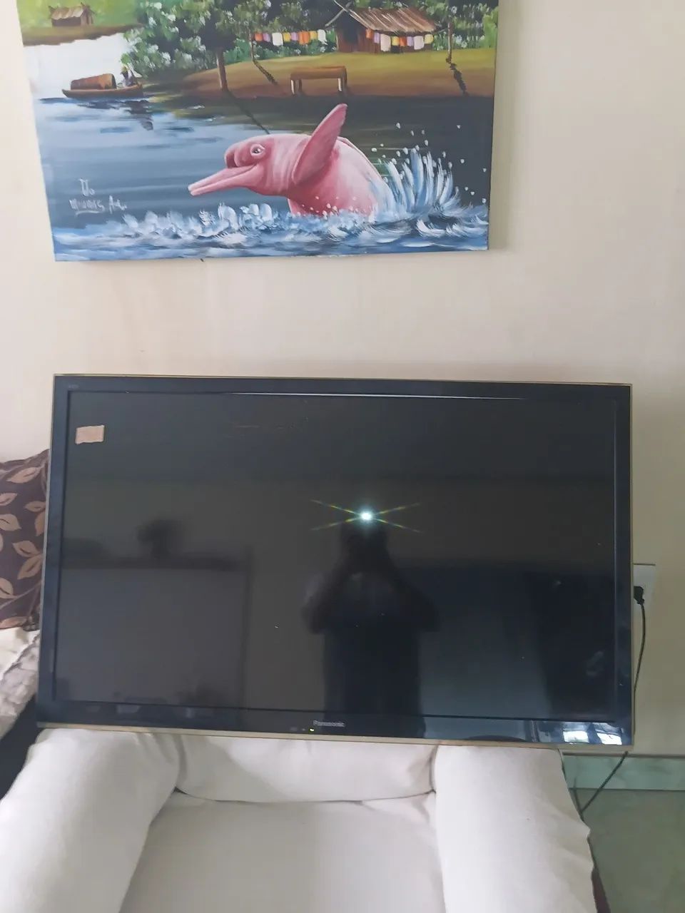 Tvs só ligando não aparece a imagem 