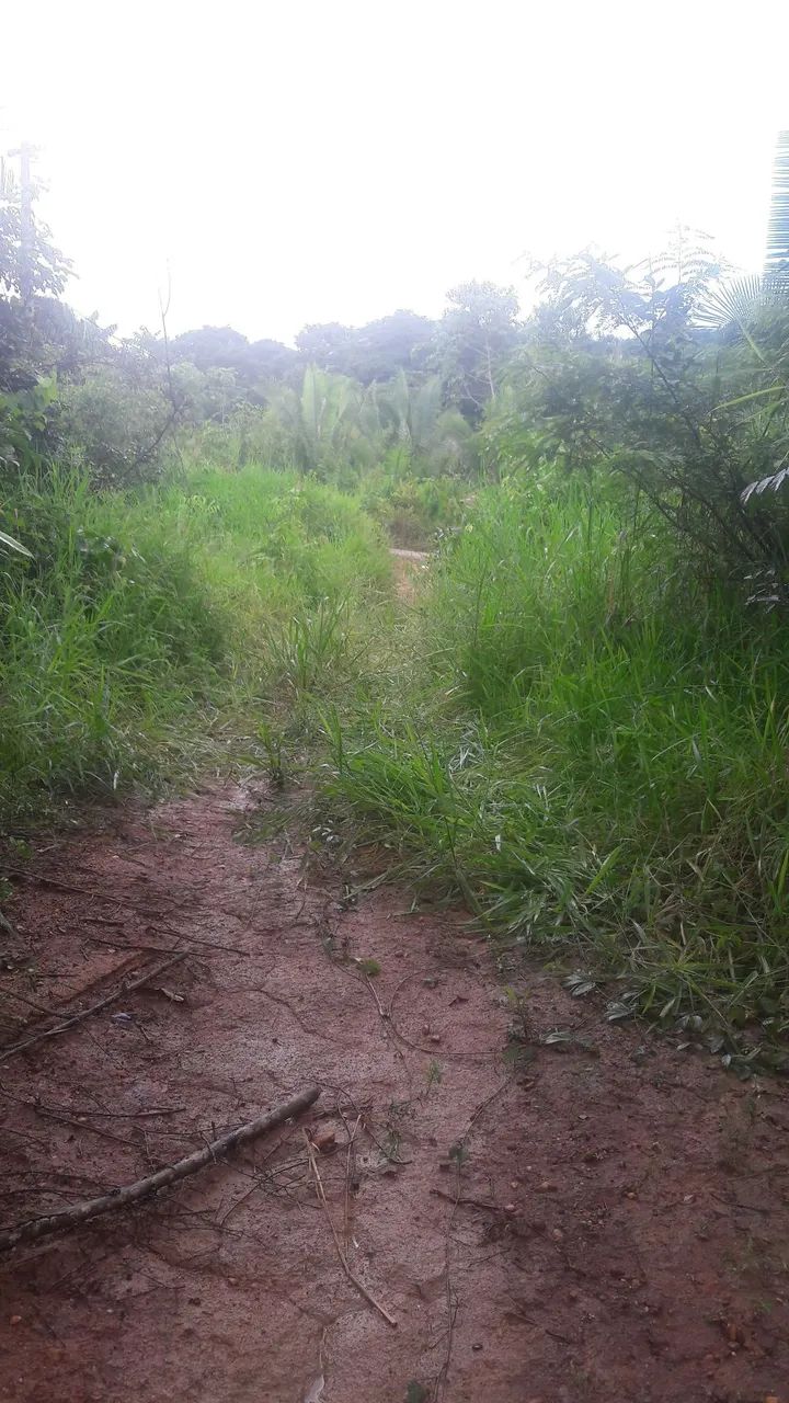 Chácara palmares 2 - Foto 4