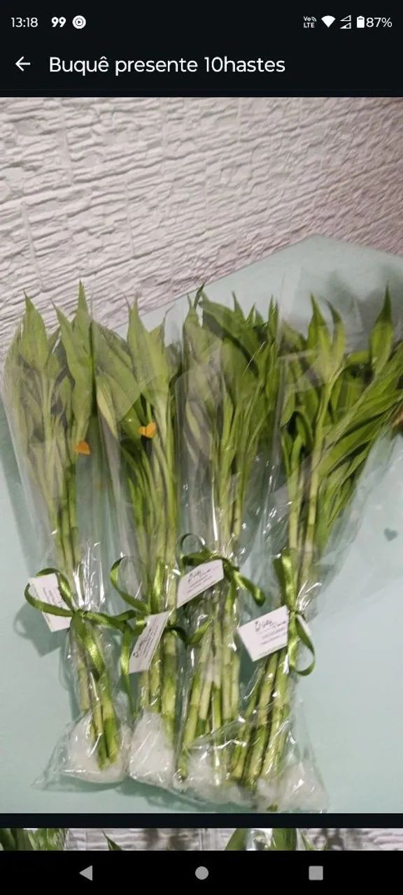 10 hastes de bambu da sorte - Foto 5