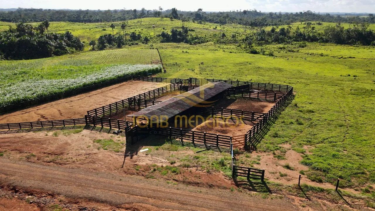 VENDE LINDA FAZENDA ESTRUTURADA EM RORAIMA 