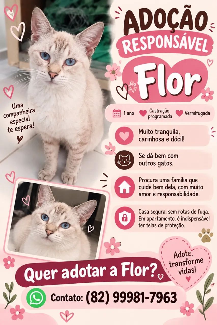 Adoção Responsável 