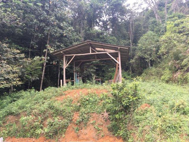 Chácara No Bananal Do Sul - Foto 3