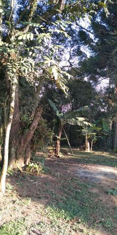 Área Colônia Zacarias - Foto 13