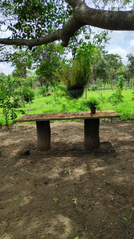Fazenda com 140 hectares, linda casa, potencial para agropecuária e indústria de britagem - Foto 11