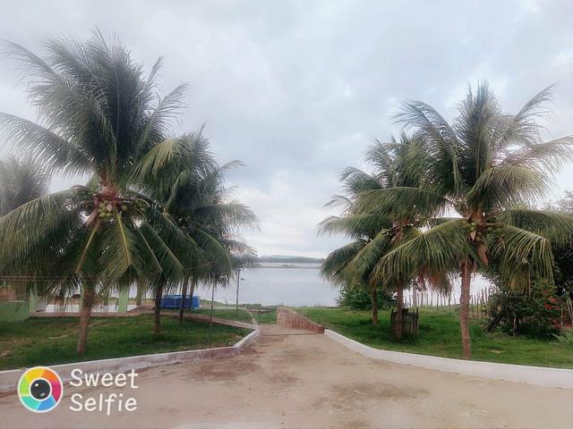 Chácara na beira do rio São Francisco ,há 80 km de Juazeiro - Foto 20
