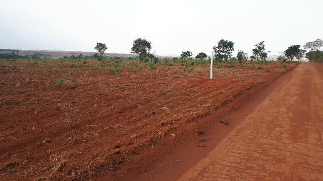 Ch?caras 20.000 metros 60km de Taguatinga