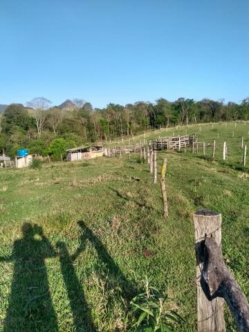 Chácara próximo de Congonhinhas faça sua proposta - Foto 11