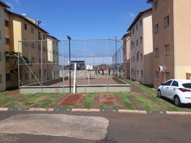 Apartamento para alugar com 2 dormitórios em Ipiranga, Ribeirao preto cod:L181292 - Foto 17