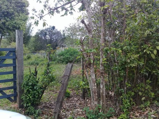 Sítio no bairro Chavão/Santo Antonio, Cabo Frio-RJ. 6.000m² - Foto 19