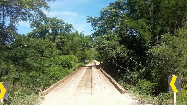 Fazenda e Cotas para Reposição Florestal - Foto 9