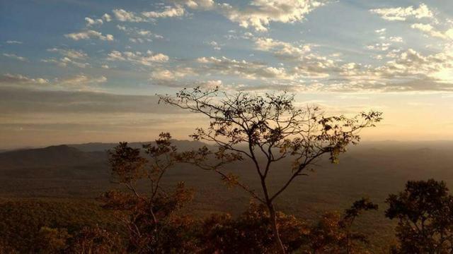 Fazenda e Cotas para Reposição Florestal - Foto 6