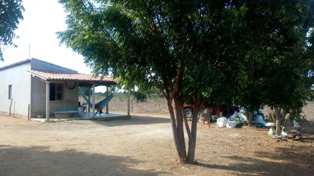 Vende-se terreno em Ocara - ce ou troco em outro terreno na região de Aquiraz - Foto 8
