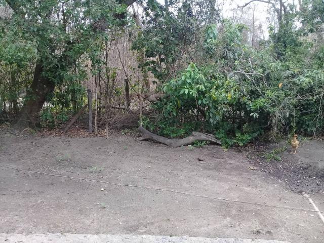 Sítio no bairro Chavão/Santo Antonio, Cabo Frio-RJ. 6.000m² - Foto 15
