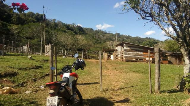 Fazenda e Cotas para Reposição Florestal - Foto 18