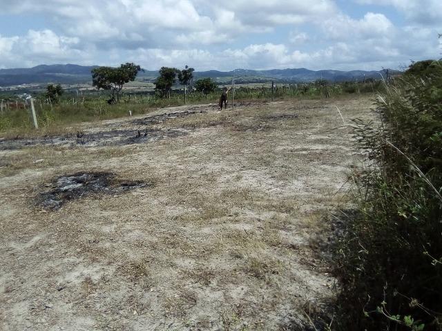 Vendo ou Troco lote 15 x 30 em bezerros - Foto 4